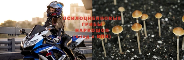 герыч Алексин