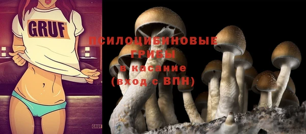 гидропоника Алзамай
