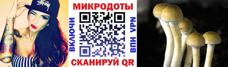 Галлюциногенные грибы Magic Shrooms  сколько стоит  Чистополь 