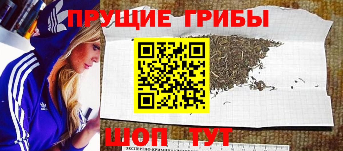 Псилоцибиновые грибы GOLDEN TEACHER Чистополь